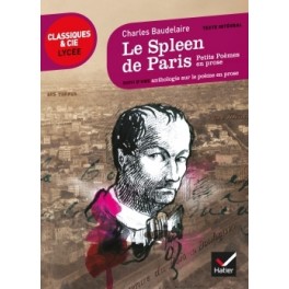 LE SPLEEN DE PARIS (PETITS POEMES EN PROSE) Sustituye 978221892545