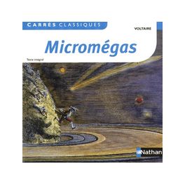 MICROMEGAS - VOLTAIRE