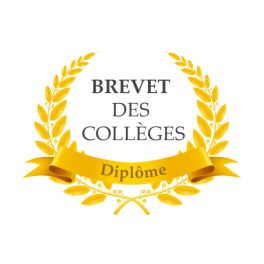 Curso de preparación al Brevet des collèges. 10 horas. Grupos reducidos. Presencial o Virtual.