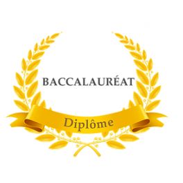 Curso de preparación al Baccalauréat. 10 horas. Grupos reducidos. Presencial o Virtual.