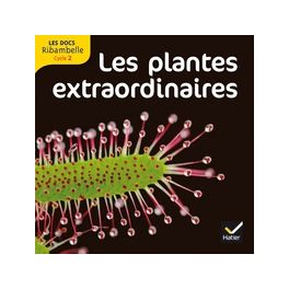 LES DOCS RIBAMBELLE CYCLE 2 ED. 2012 - LES PLANTES EXTRAORDINAIRES