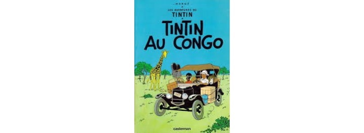 Les aventures de Tintin et Milou